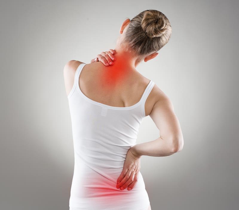 chiropractic services  Paris, KY 